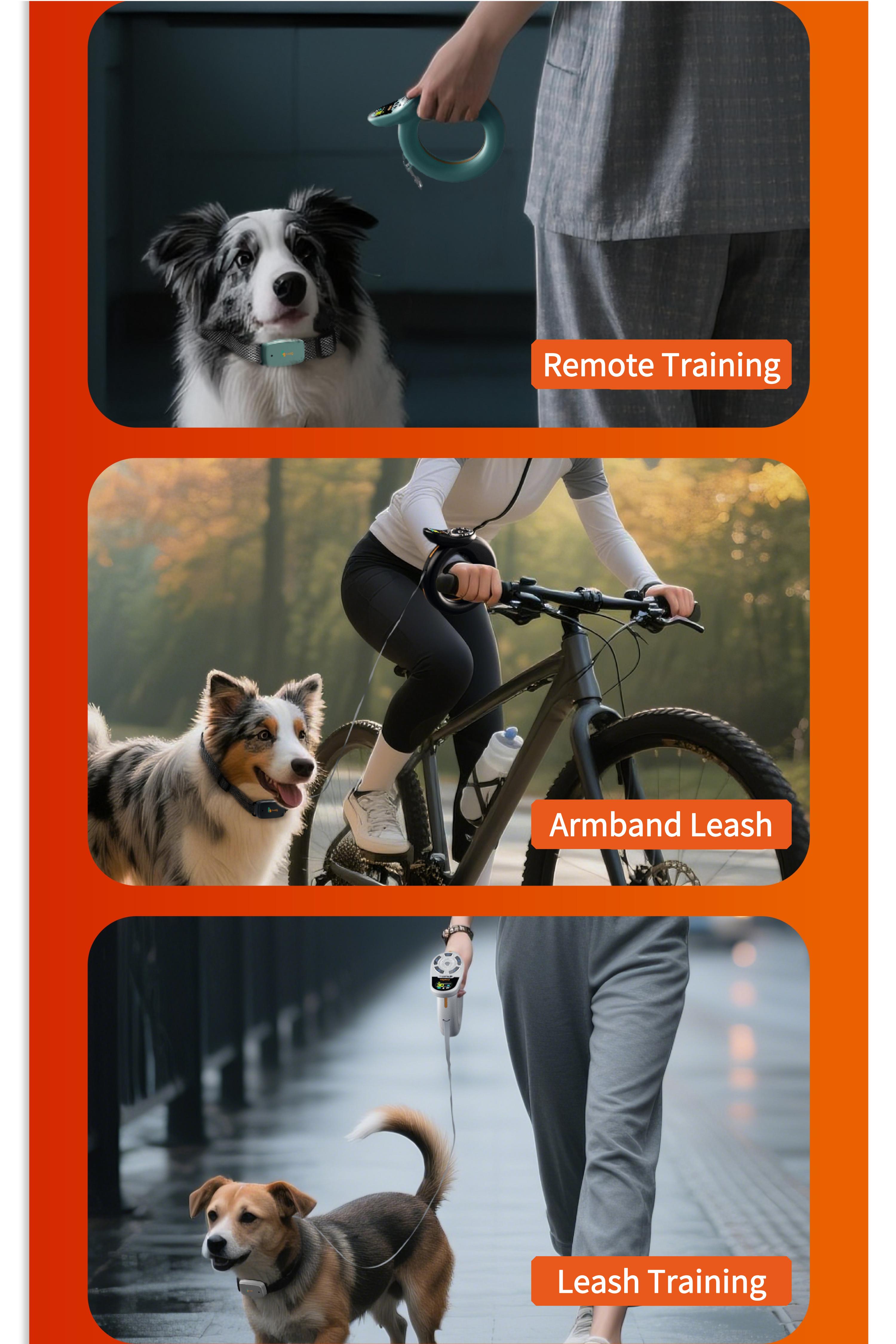 Luckymyth - Dog Training Collar  Leash – 3200ft remote control- built-in light- IP67 waterproof- magnetic charging- 30 static levels + 10 vibration/sound modes-fits dogs 10–120 lbs- integrates both leash and training capabilities-Handles two dogs at once