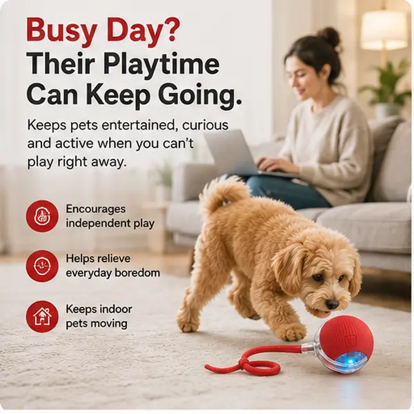 Interactive Rolling Ball Toy for Cats& Small Dogs – 3 Play Modes, Touch- Activated, USB- C Rechargeable Pet Exercise Toy with Tail