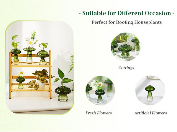 Mushroom Glass Vase, Set of 5, Dopamine Decor Hand Blown Glass Bud Vase for Flowers Indoor Planters for Women Spring Room Decor