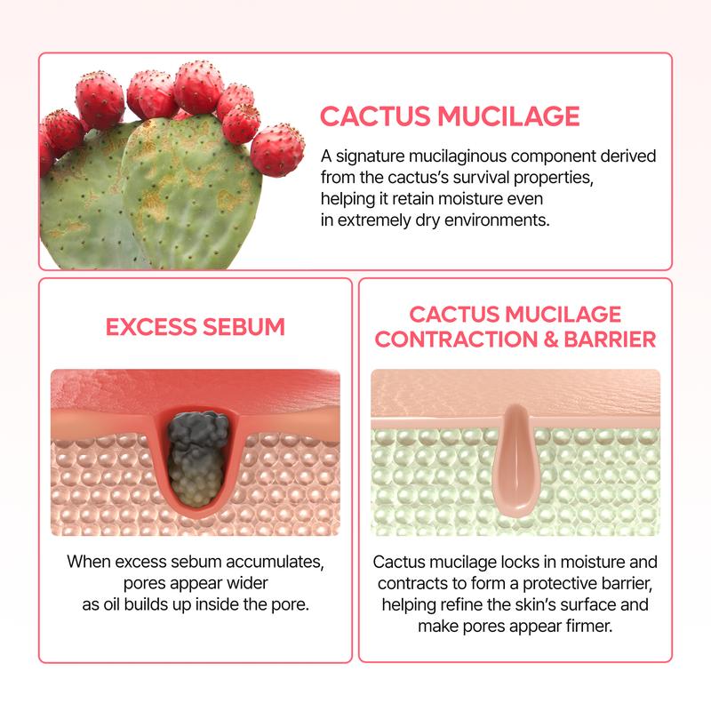 [Dr.Melaxin Official] CACTOX PORE DUAL CAPSULE CREAM with Cactus Cooling Reduce Puffiness & Pore Tightening for Visible Pore Care Skin Repair