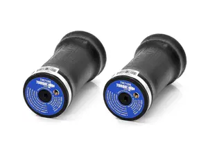 2 pack of TORQUE Cab Air Sleeper Bag Spring for Select Navistar Trucks (Replaces S9383, Firestone 7108, W02-358-7108, Navistar 2500012C1, 2507756C1) (2 x TR7108)