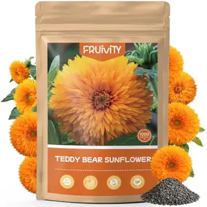 1000+ Teddy Bear Sunflower Seeds to Plant, Non-GMO Heirloom Flower Seeds for Planting, Dwarf Variety, Gardens & Borders - Easy to Grow with High Germination Rate, Perfect for Beginners