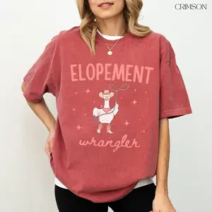 Comfort Colors Special Education Teacher Shirt, Playful Autism Classroom Gift, Aesthetic SPED Teacher Life Tee, Trendy Elopement Expert Shirt, Premium Garment Dyed Funny ABA Therapist Tee, Boutique BCBA Rbt Gift Top