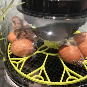 Incubator for Hatching Eggs, 12 Egg Incubator with Automatic Egg Turning, Temperature & Humidity Display, Egg Candler, Auto Water Filling,Smart Egg Incubator For Hatching Chicken Duck Quail Parrot Goose