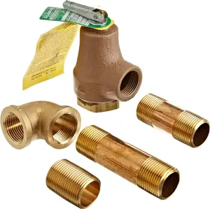 Pentair 460925 Pressure Relief Valve with Connection Replacement Kit