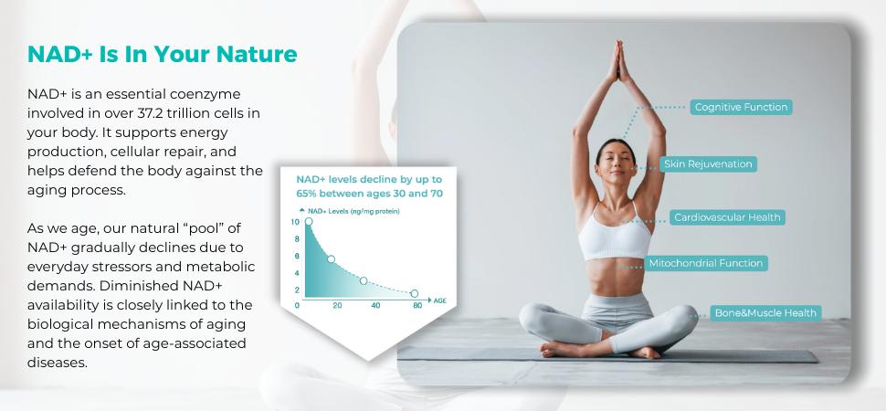 Naturenewborn NR1000 - High Purity NAD+ Supplement forTriple Anti-Aging, Energy, Focus - 60 Count - Vitamin & Wellness Dietary Healthcare Edible Nutrition Fitness