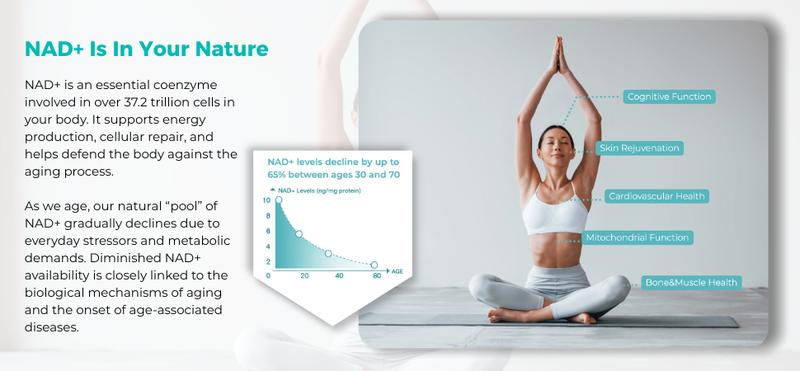 Naturenewborn NR1000 - High Purity NAD+ Supplement forTriple Anti-Aging, Energy, Focus - 60 Count - Vitamin & Wellness Dietary Healthcare Edible Nutrition Fitness