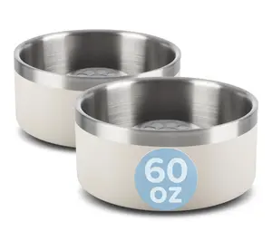 PETMAKER 60oz Double Wall Insulated Slow Feeding Pet Bowls