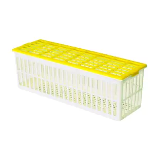 Egg Basket - 6 Eggs - Compact Basket for 6 Eggs