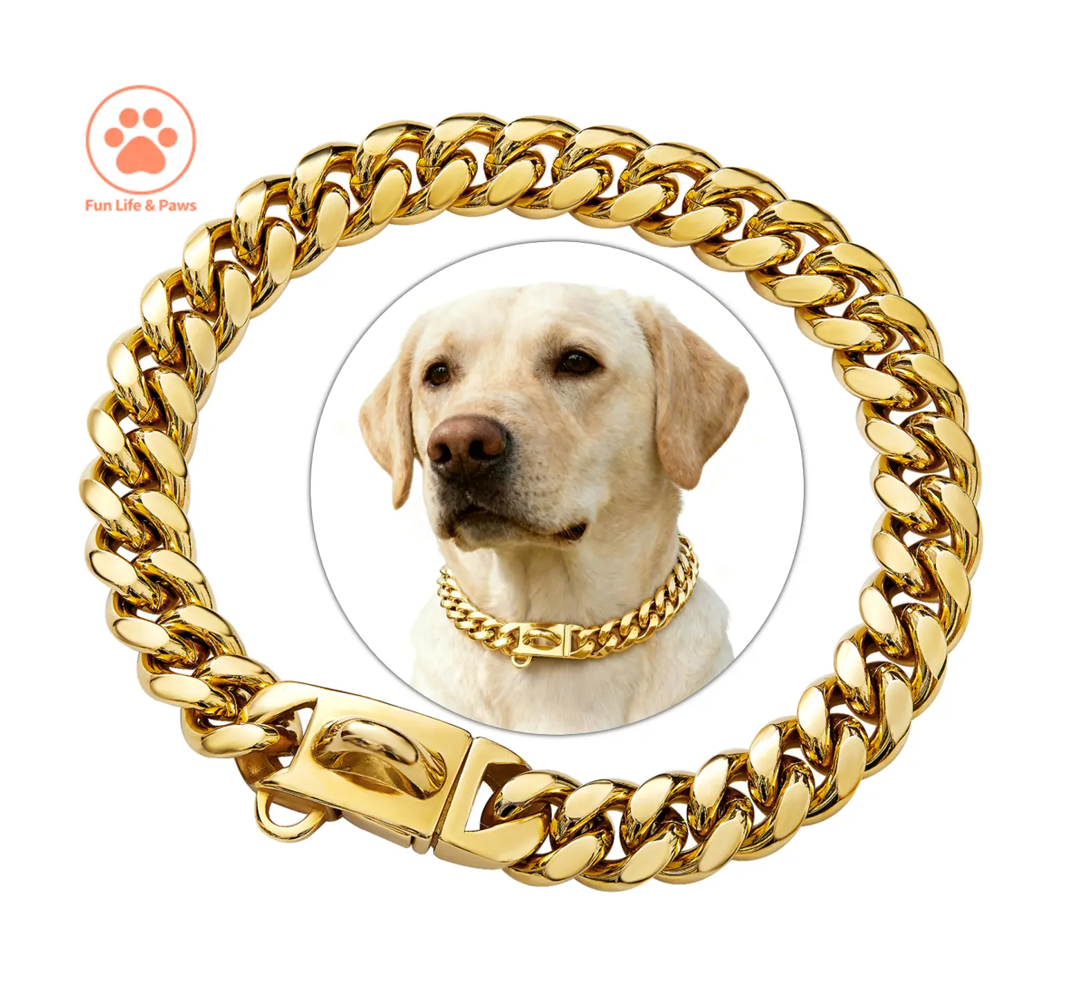 Gold rottweiler chain collar - TikTok Shop