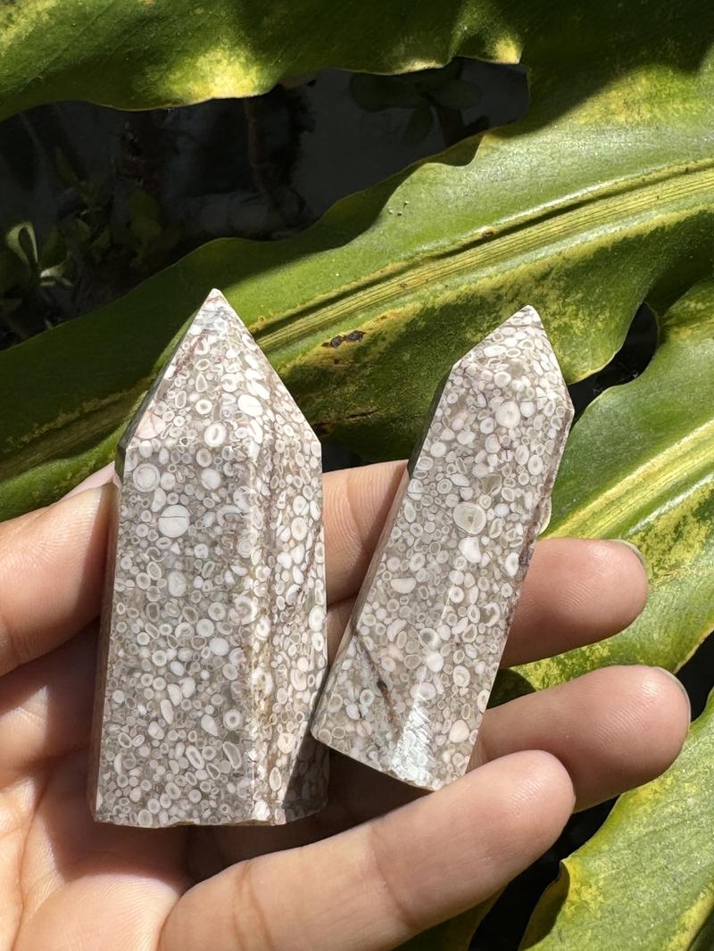Fossilized Coral Jasper Towers from Urban Rutile