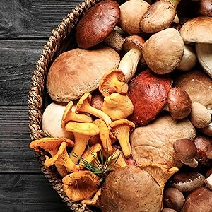 DEAL SUPPLEMENT Organic Lions Mane Mushroom Supplement Powder | Memory, Energy Boost, Immune, Clarity, Brain, Focus, Nerve Health