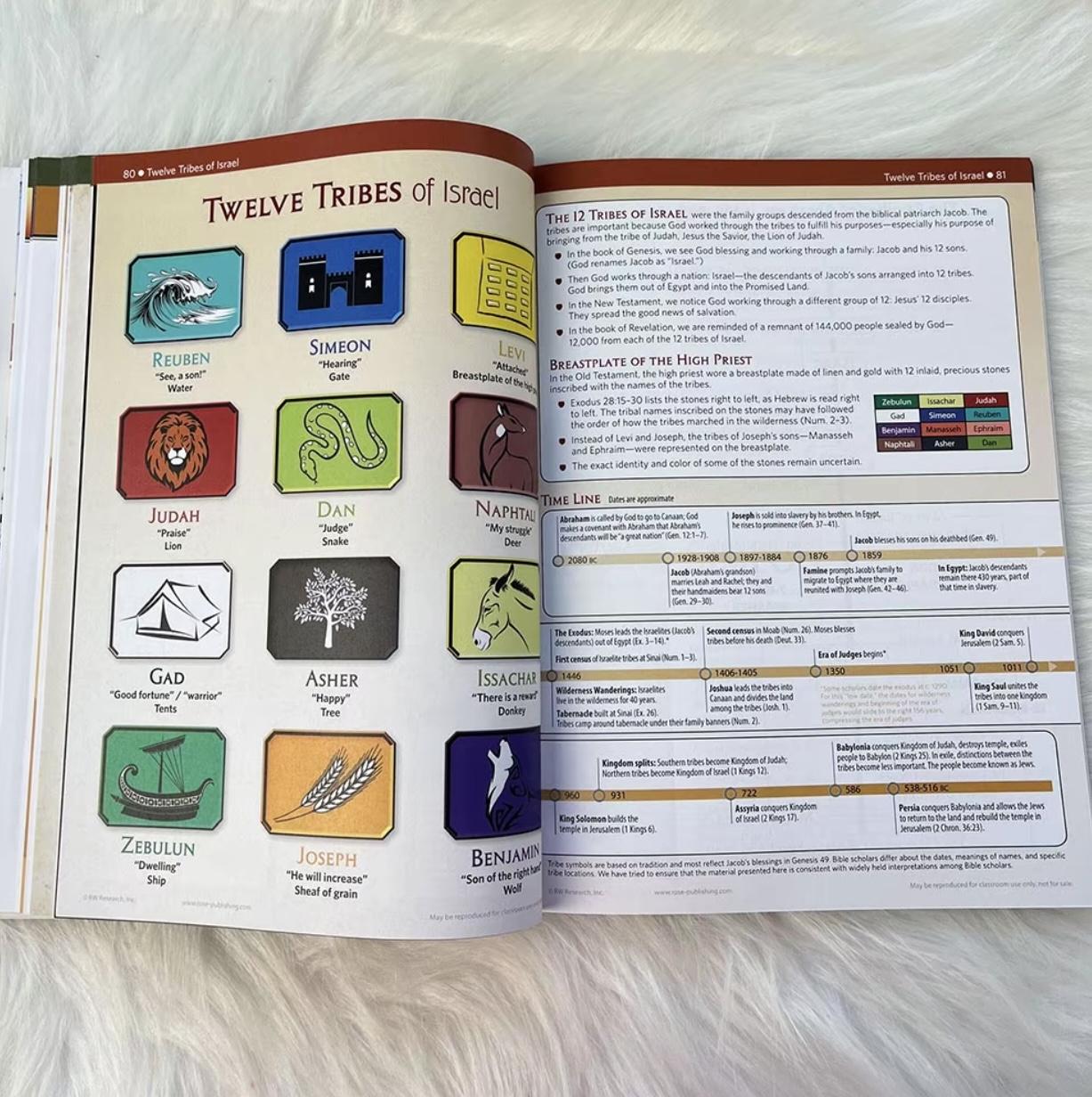 Rose Book of Bible Charts, Maps, and Time Lines -A4 Paperback English colorful new bible Religion & Philosophy