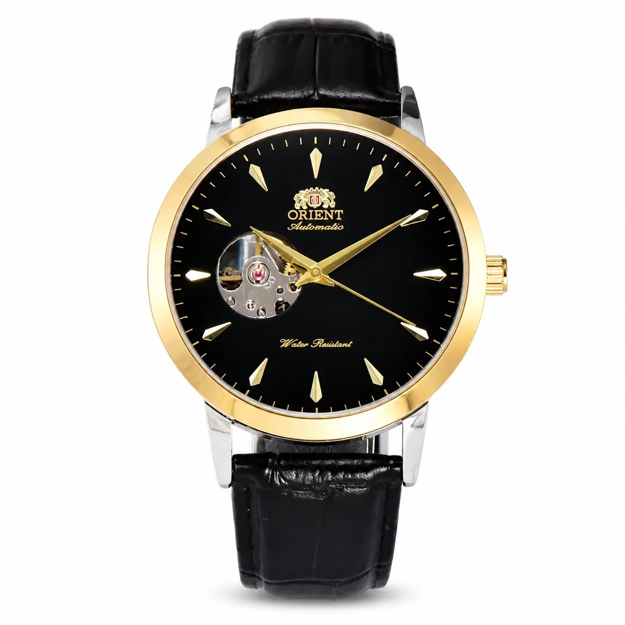 Double Lion mechanical watch - lou - 2
