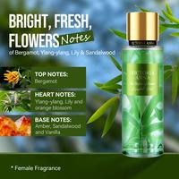 The Rhythm of Bamboo