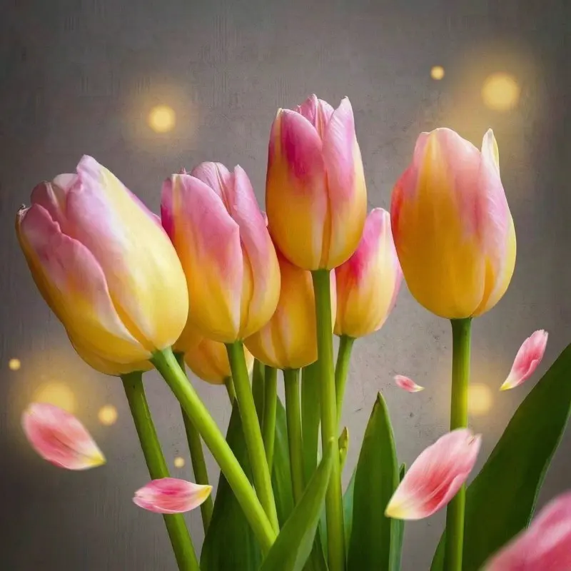 Tulip Bulbs, Mixed‑Color Perennial Spring Flower for Outdoor Garden and Pot Planting
