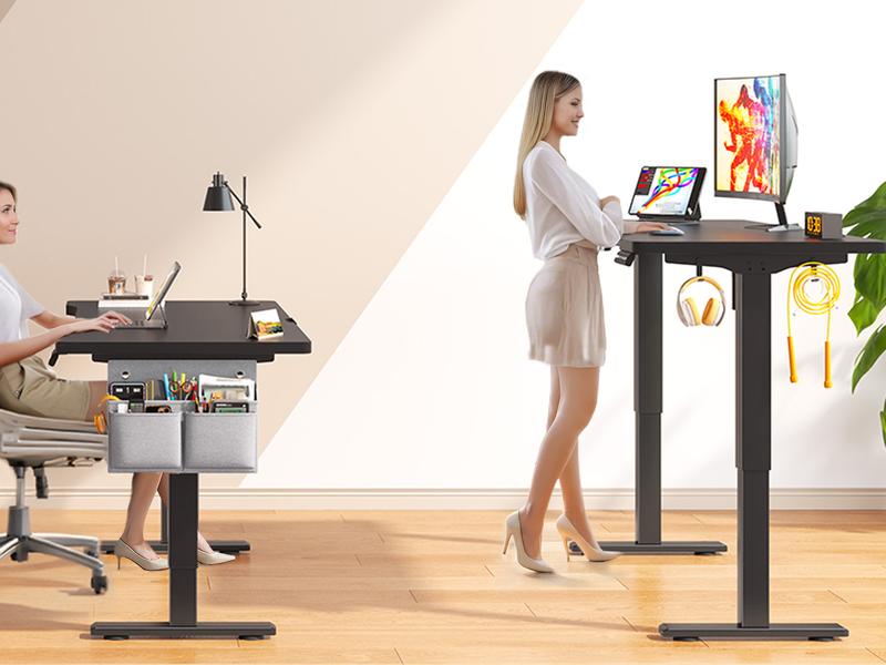 【Smart Memory Height】Raybee Electric Standing Gaming Desk with LED 56'' Sit Stand Up Desk Adjustable Height 3 Memory Preset Computer Home Office Desk with Side Pocket