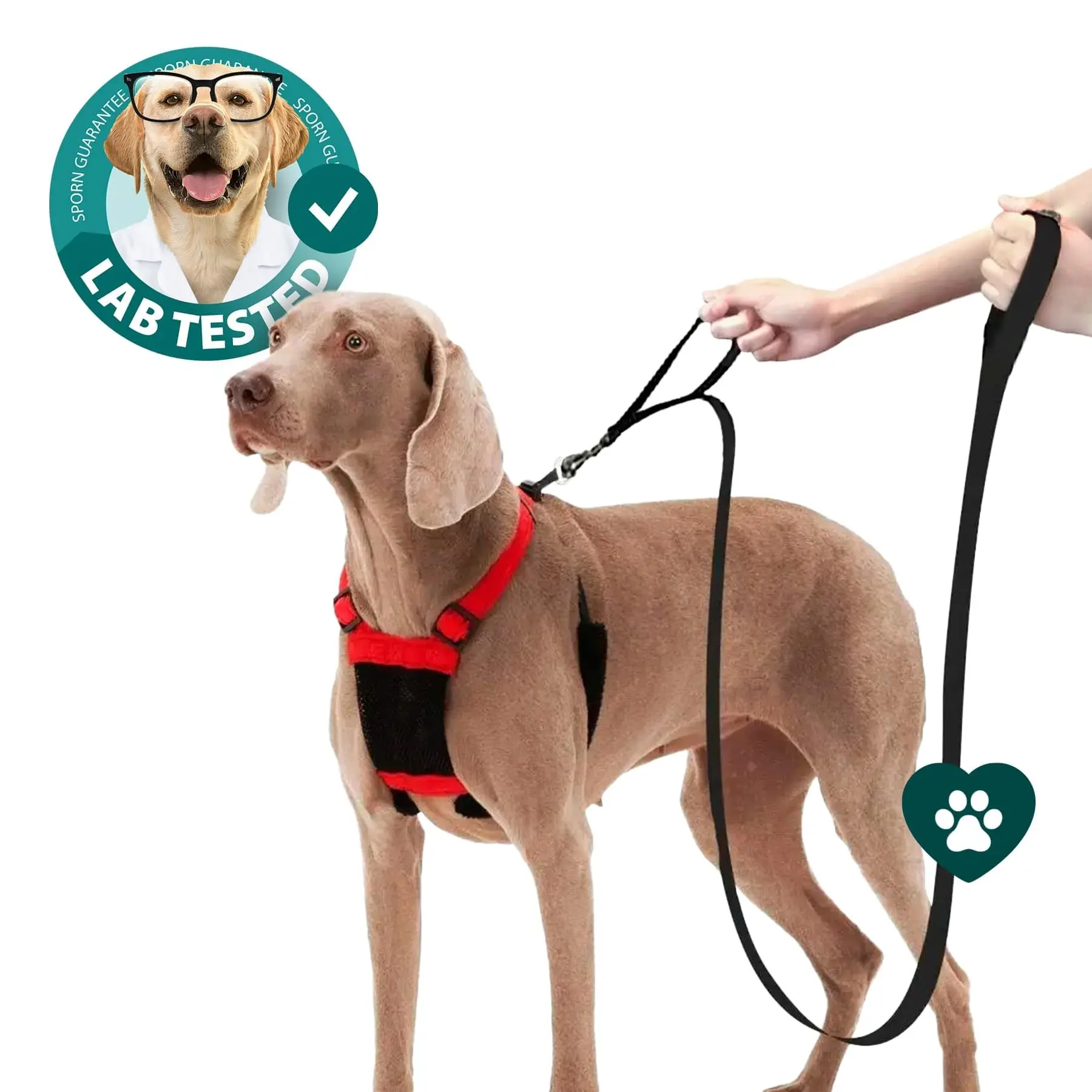 Sporn Training Leash™