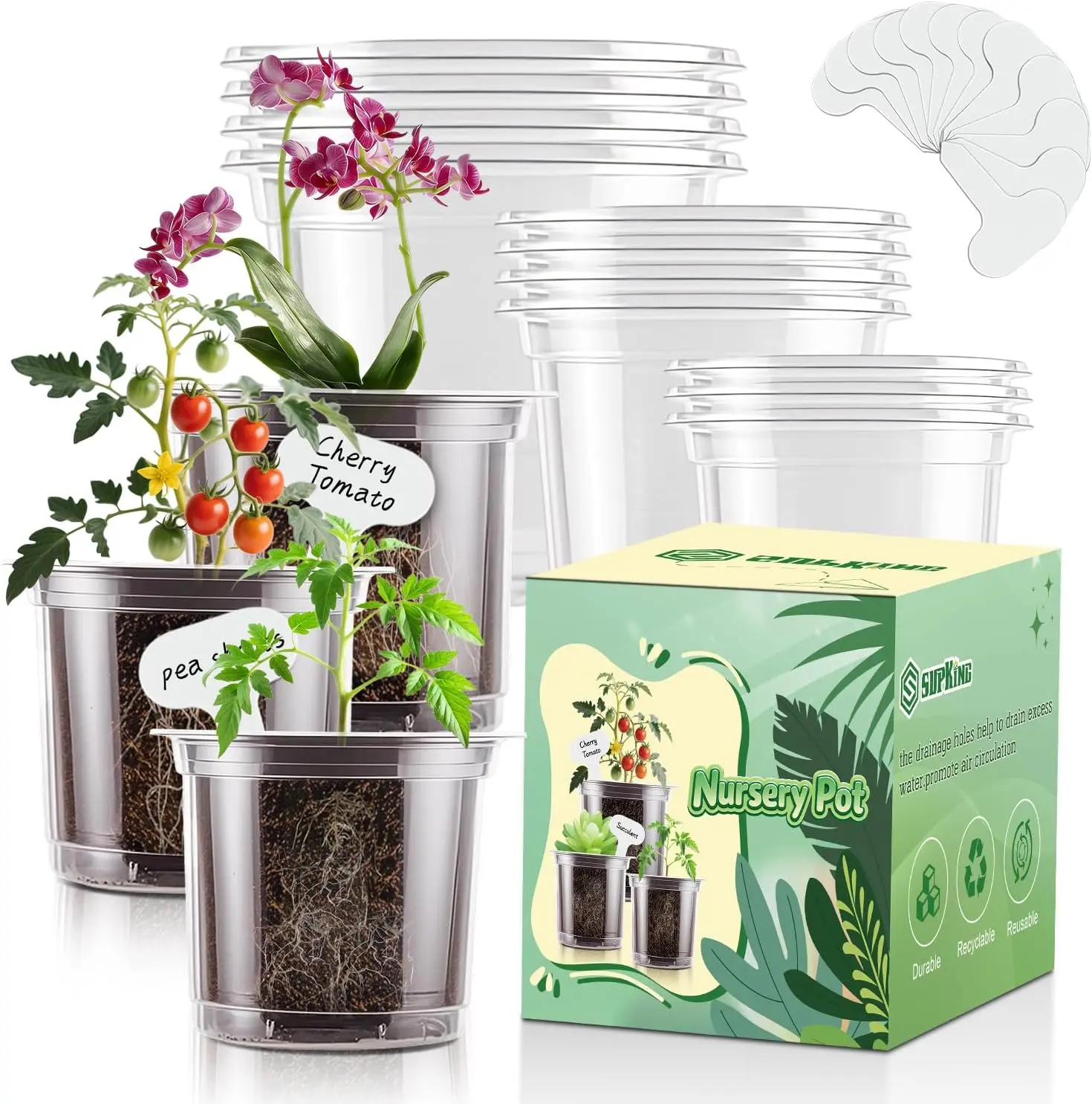 Plastic Clear Nursery Pots - 5/4/3.5 Inch, 12 Pcs with Drainage Holes, 15 Labels for Succulent Transplanting, Seed Starting & Cutting Propagation