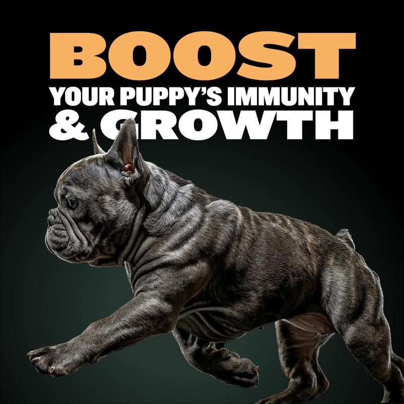Bully Max 26/12 High Protein Wet Puppy Food - 26% Protein, 12% Fat, Chicken, Barley & Oats, Supports Healthy Growth & Immune Support
