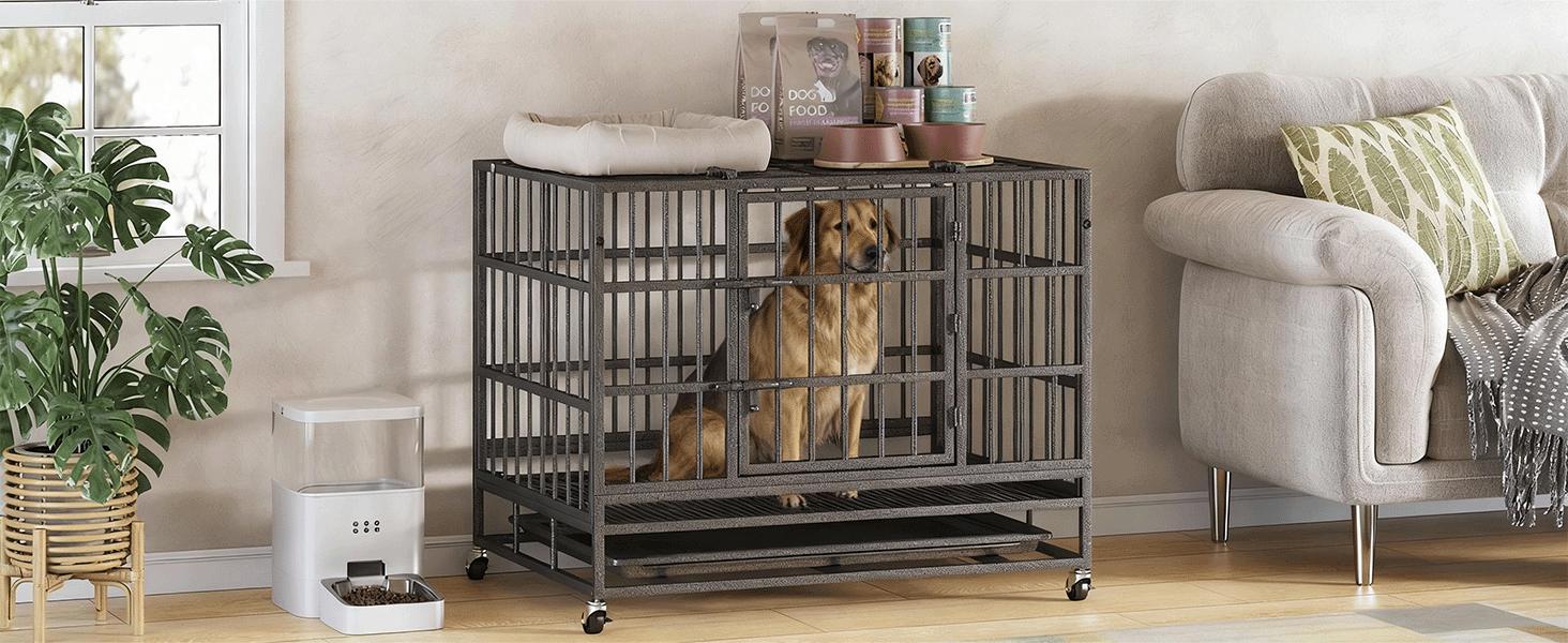 Collared Eagle Heavy-Duty Dog Cage 38" x 48", Reinforced Bottom Panel, Supports up to 200 lbs, Double Door Design, Wheels, Indoor Kennel for Large Breeds, Top-Loading Portable Enclosed Enclosure