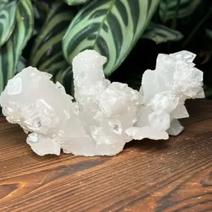 Apophyllite Crystal Cluster – Natural Druzy Matrix Mineral Specimen