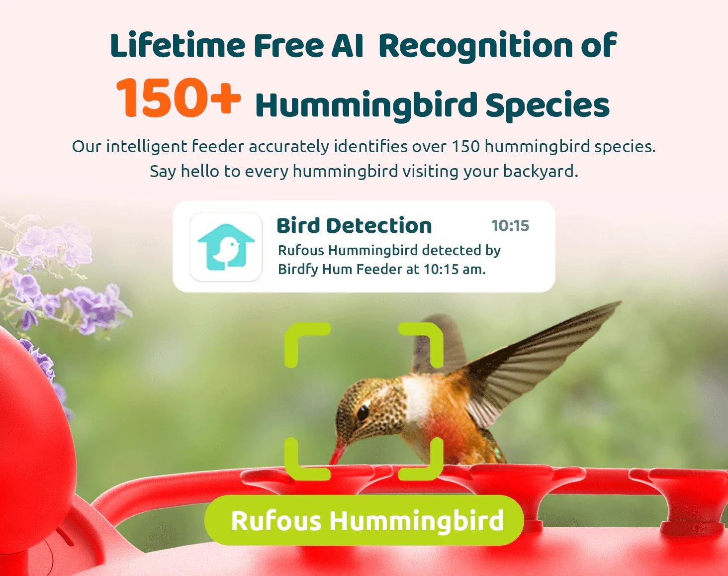 Birdfy Hum Feeder Duo with Dual Camera - 2K High-Resolution Cameras for Hummingbird Behavior and Appearance