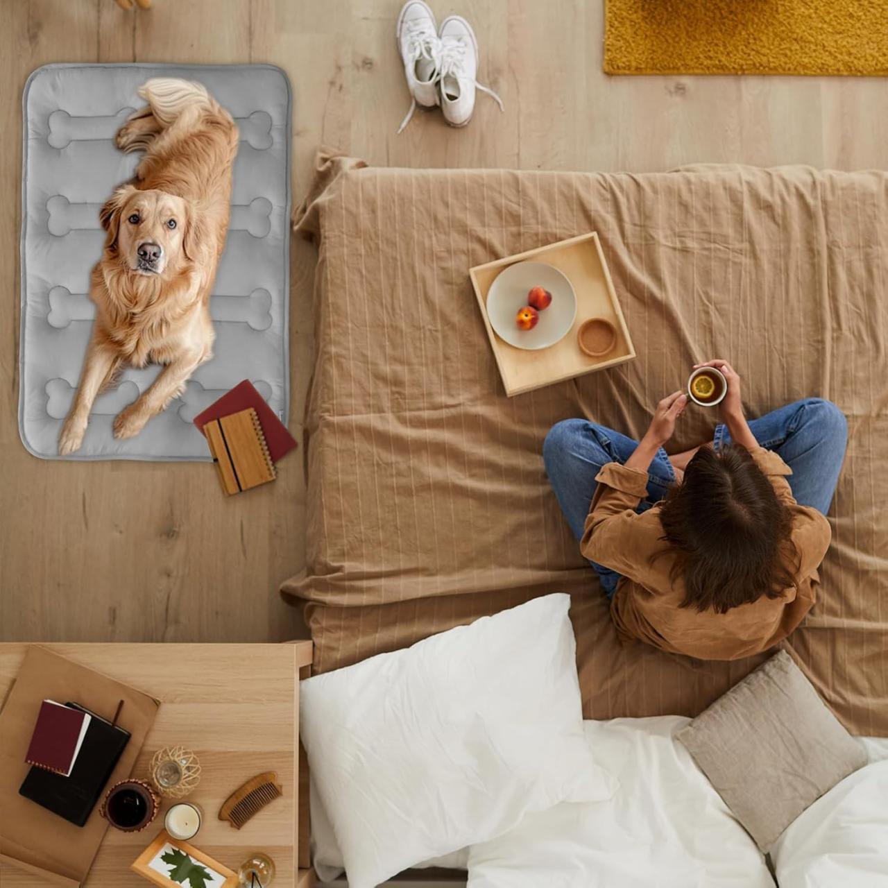 2PCs Cooling Pet Mat - Thickened Non-Slip Cooling Pad for Large Dogs Cats, Indoor Outdoor Portable Lightweight Pet Cooling Mats for Dog Bed Crate Tunk Camping, Durable Machine Washable, Grey Bones Pattern #TiktokShopSpringGlowUp 2PCs Cooling Pet Mat - Thickened Non-Slip Cooling Pad for Large Dogs Cats, Indoor Outdoor Portable Lightweight Pet Cooling Mats for Dog Bed Crate Tunk Camping, Durable Machine Washable, Grey Bones Pattern #TiktokShopSpringGlowUp