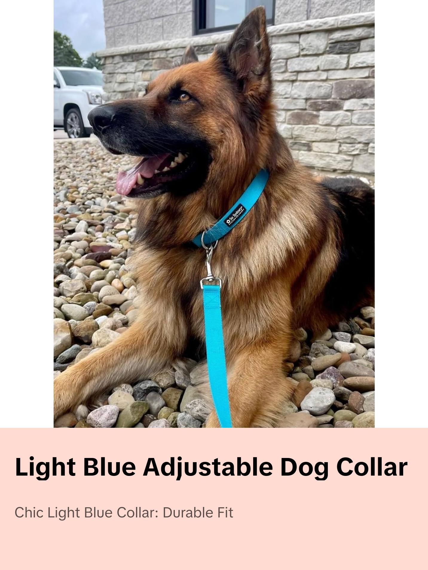 Light Blue Adjustable Nylon Dog Collar for Small, Medium, or Large Dogs