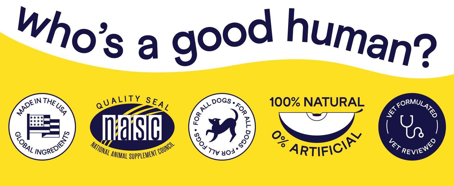 FINN Comfy Pup Bundle - Gut & Allergy Support for Dogs - 180 Soft Chews - Digestive Probiotics & Allergy Itch Chews - Vet Formulated NASC Certified