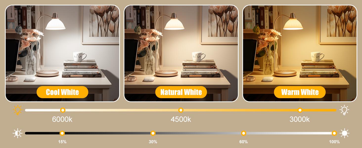 Brightown E26 Rechargeable Light Bulb with Remote Timer and 3 Color Temperatures, Battery Backup Bulb for Sconces and Lamps, E26 Detachable Charging for Non-Hardwired Fixture, Dimmer, 700LM