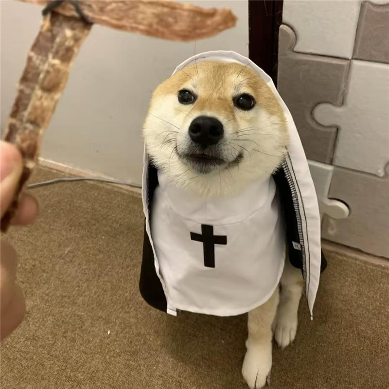 New Year Nun clothes cats and dogs disguise funny COS small and medium pet photo props cat funny costumes