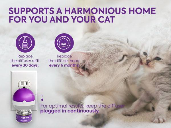 TopSum Cat Pheromone Calming Diffuser — Soothing & Stress-Relief for Cats, Premium 4 in 1 (Purple) TopSum Cat Pheromone Calming Diffuser — Soothing & Stress-Relief for Cats, Premium 4 in 1 (Purple)