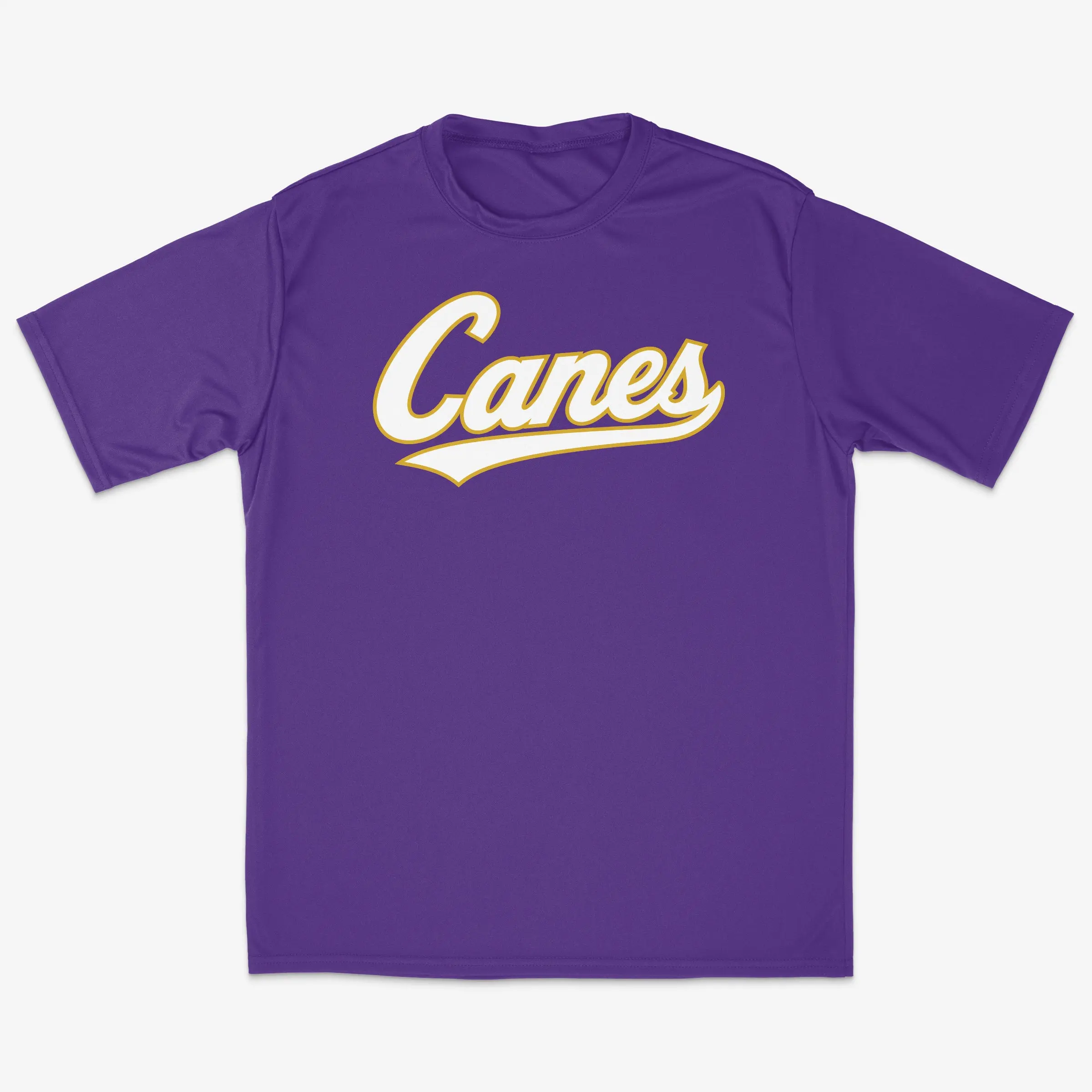 All-Star Canes Performance Tee