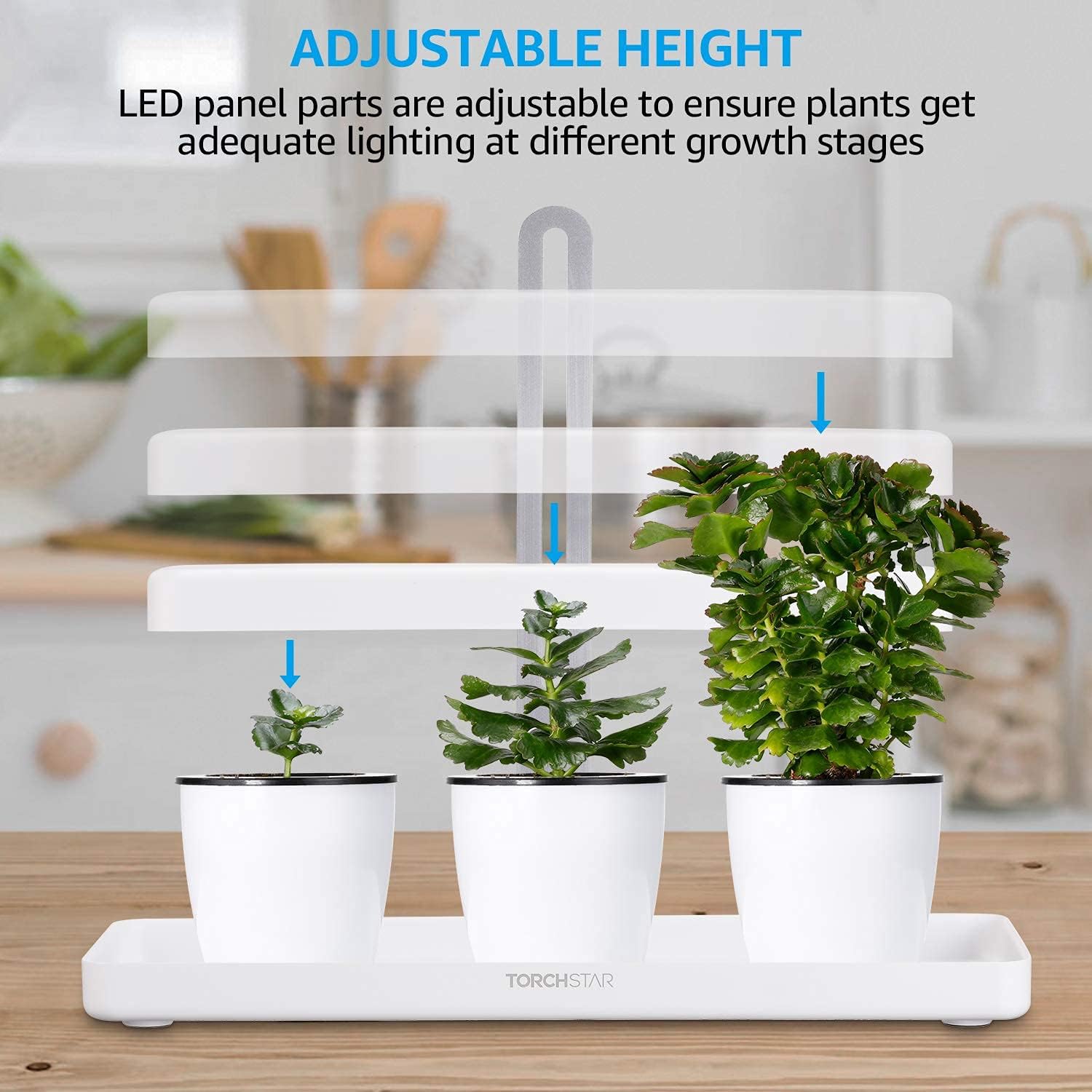 Indoor Plant LED Grow Light with Timer, Full Spectrum, Adjustable Height, Beginner Friendly