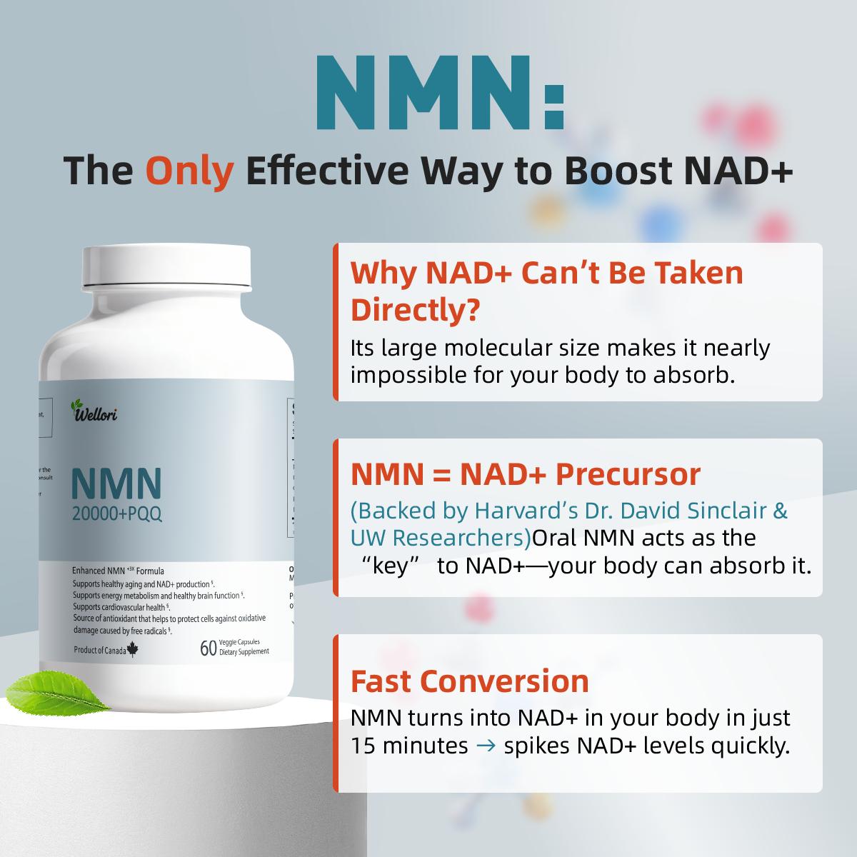 Wellori 20000mg NMN Supplement with PQQ GABA Resveratrol & Passion Fruit Extract for Anti-aging, NAD+ Production, Energy Metabolism, Brain Function, Cardiovascular Health, Antioxidant Protection - Edible, Healthcare