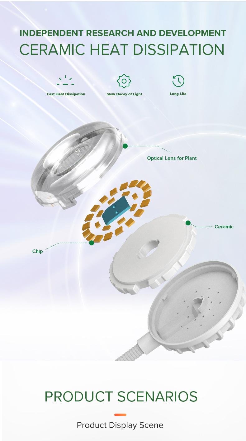 SANSI 5W/10W Grow Lights for Indoor Plants, Pot Clip LED Plant Lights for Indoor Growing, Full Spectrum, Plant Lamp with 5-Level Dimmable, Auto On Off 3 6 12 Hrs Timer for Succulents, White, 5V – Springtok Your Plants with Colorful Spring Vibes SANSI 5W/10W Grow Lights for Indoor Plants, Pot Clip LED Plant Lights for Indoor Growing, Full Spectrum, Plant Lamp with 5-Level Dimmable, Auto On Off 3 6 12 Hrs Timer for Succulents, White, 5V – Springtok Your Plants with Colorful Spring Vibes