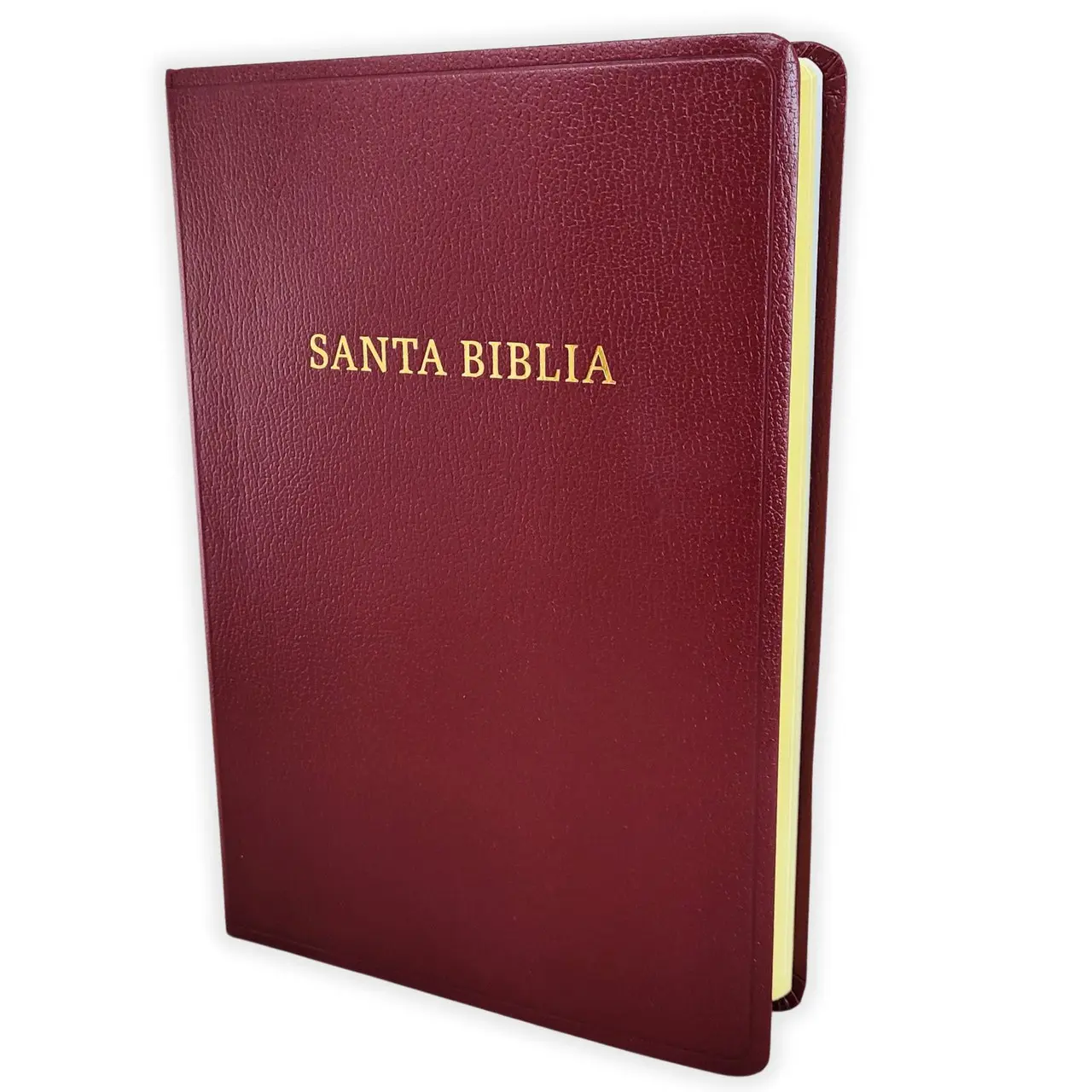 Biblia Letra Gigante RV1960 imit piel vino