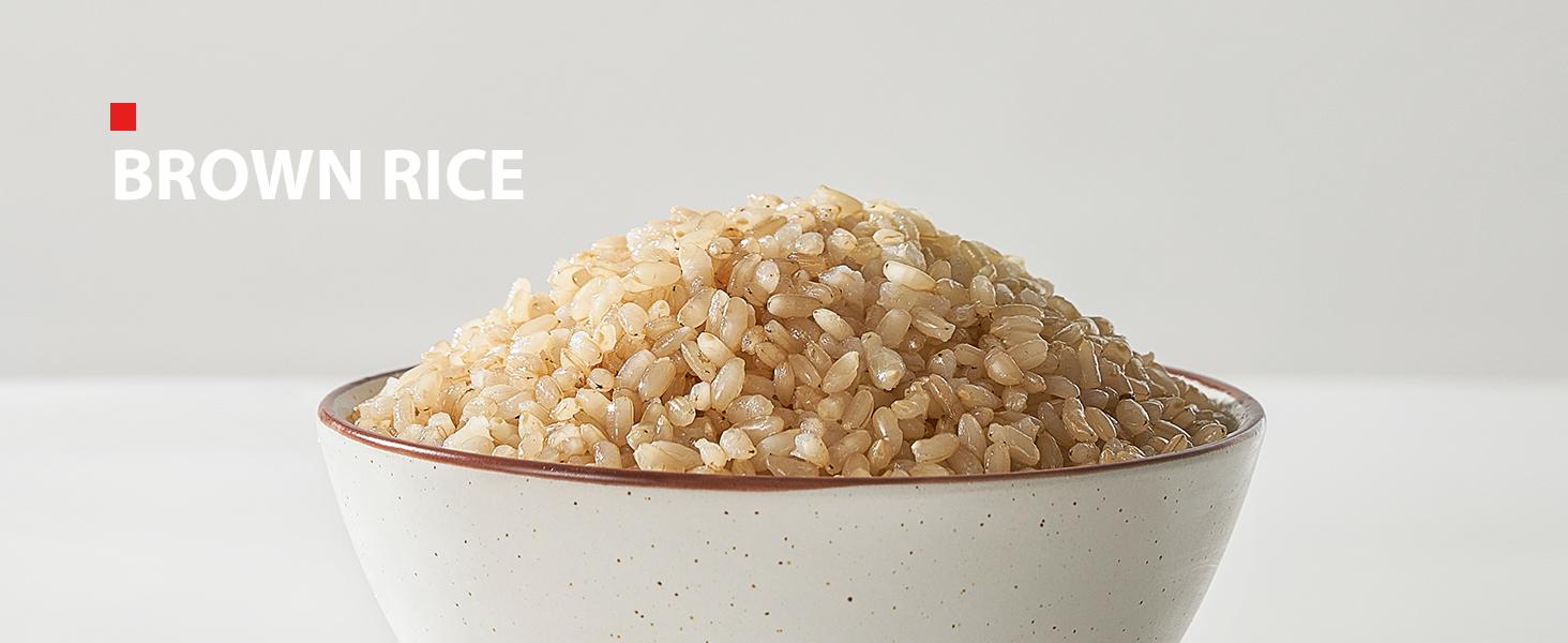 Toshiba Mini Rice Cooker, 3 Cups Uncooked Small Rice Cooker, Steamer & Warmer with Fuzzy Logic & One-Touch Cooking, 24h Delay Timer Auto Keep Warm