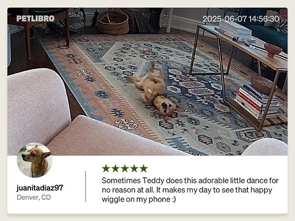 PETLIBRO AI Dog Camera Pet Camera Indoor with Phone App [Multi-Pet Recognition, Daily Activity Analysis & Smart Summaries] Cat Camera 360° View, 1080P Dog Cam Night Vision, 2-Way Audio WiFi Cam Cat