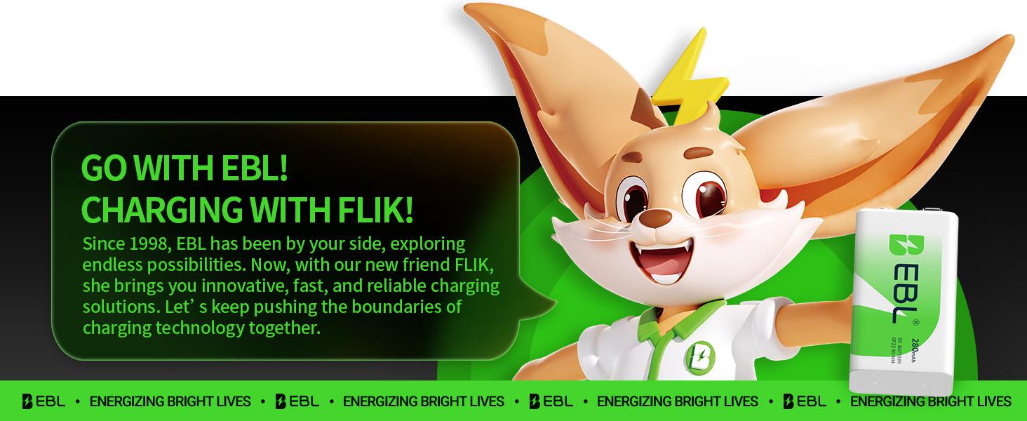 EBL AAA Ni-MH Rechargeable Batteries 1100mAh