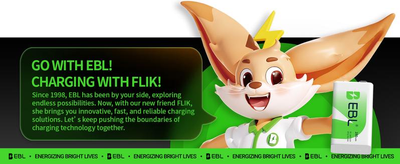 EBL AAA Ni-MH Rechargeable Batteries 1100mAh