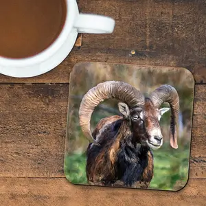 Nature Wonders 95369C-S4 4 x 4 in. Mountain Goat Wooden Cork Coasters Gift - Set of 4