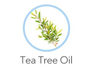 QUSTERE Pimple Patches for Face, Hydrocolloid Acne Patches, Cute Round Shape Zit Covers, Spot Stickers with Tea Tree, Salicylic Acid & Cica Oil| 2 Sizes (9mm, 12mm) |288 Count  Skincare Clear