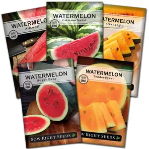 Watermelon Collection Watermelon Collection