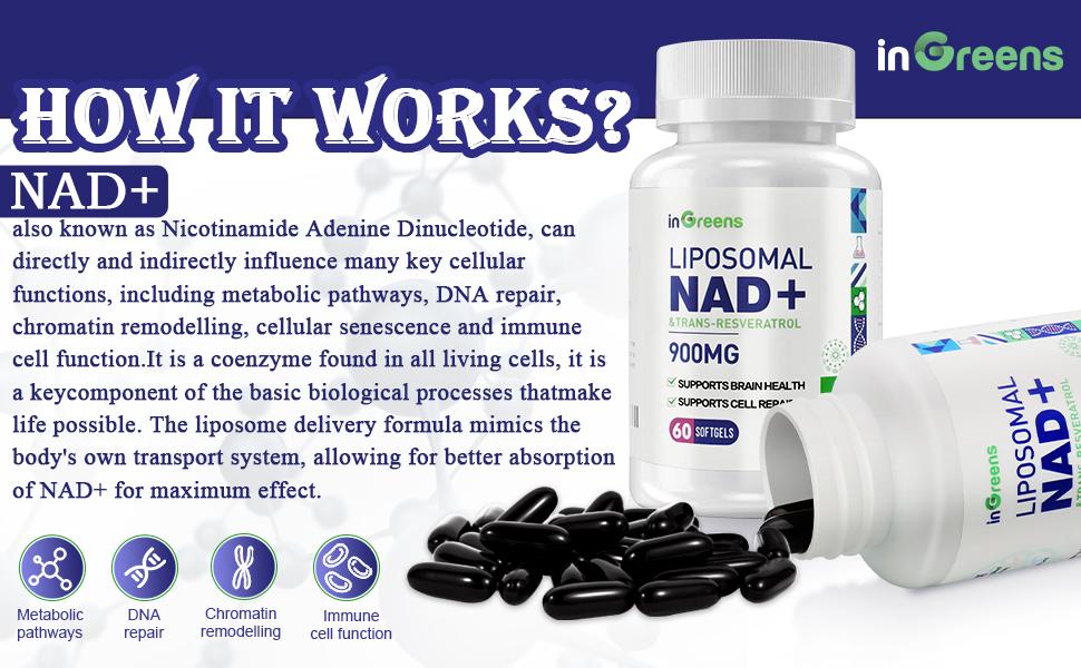 NAD+ Supplement 900 mg | Highest NAD Pontecy | Max Absorption | Pure NAD Supplement | Energy and DNA Repair, Aging Defense, Brain Function | 60 SOFTGELS | non-pharmaceutical Fitness Edible