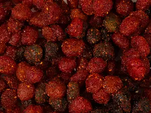 Spicy Enchilado Gusherz - Spicy then Sweet Chewy Gusherz