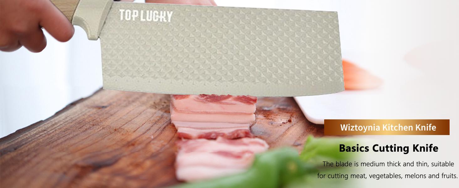 6-Piece Kitchen Knife Set with Block, Stainless Steel Dishwasher Safe - Ergonomic Handle Knives for Meat, Vegetables