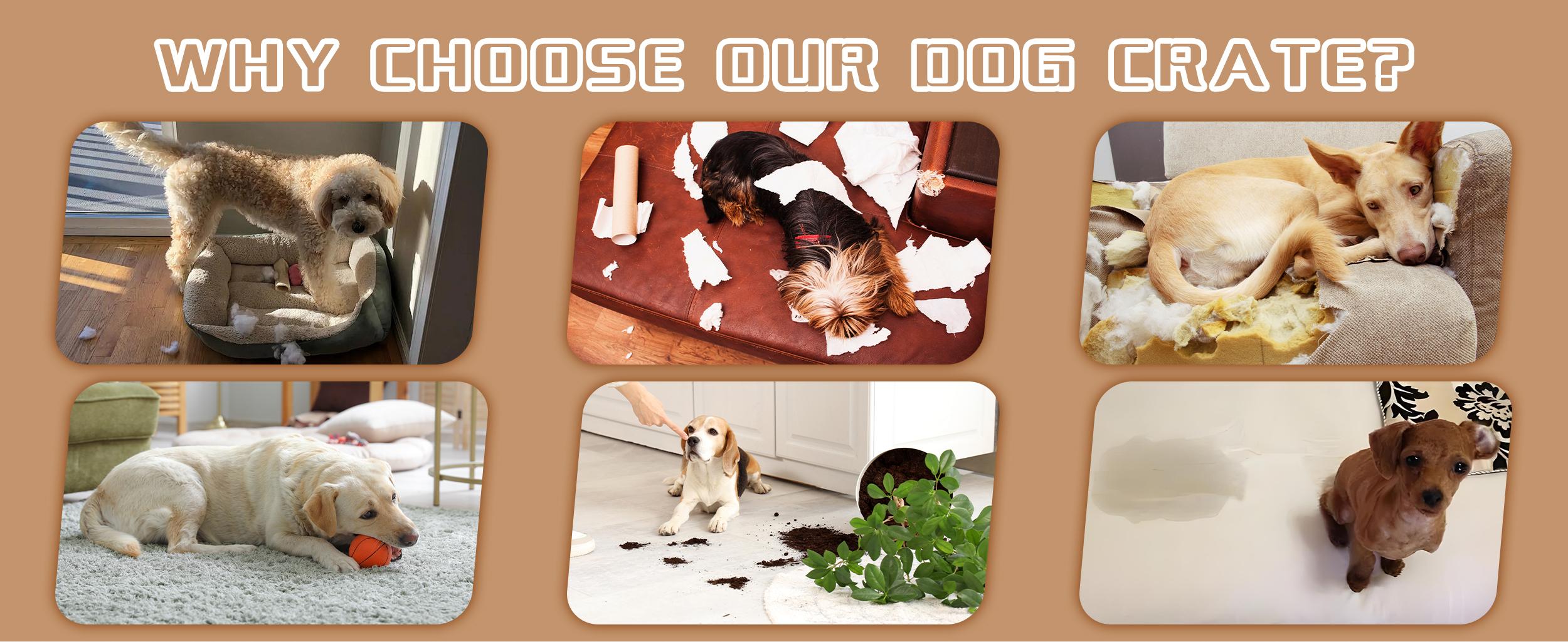 Walsunny 37/47 inch Heavy Duty Steel Dog Crate for Large Dogs with Lockable Wheels and Double Door Design, Escape Proof, Indestructible, Black