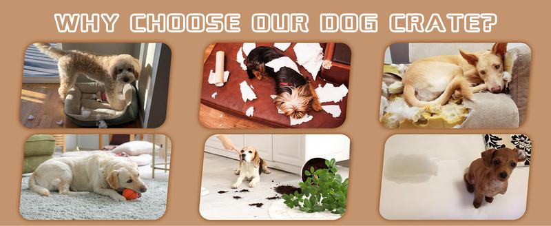 Walsunny 37/47 inch Heavy Duty Steel Dog Crate for Large Dogs with Lockable Wheels and Double Door Design, Escape Proof, Indestructible, Black